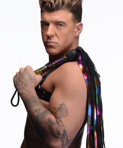 Rainbow Leather Flogger