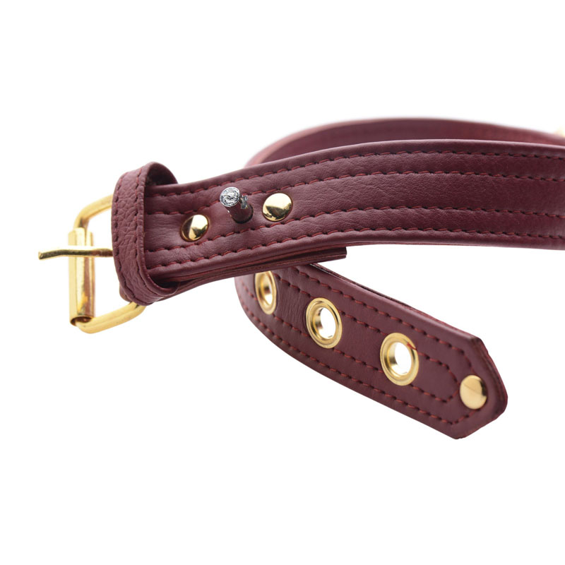 Strict Leather Luxury Burgundy Locking Collar - Image 4