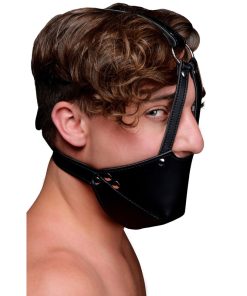 Mouth Harness with Ball Gag