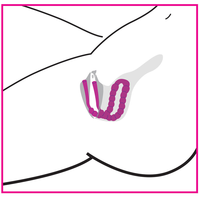 Petal Pusher Silicone Labia Spreader - Image 4