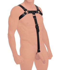 English Bull Dog Harness with Cock Strap