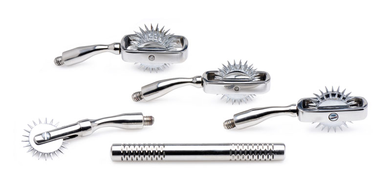 Deluxe Wartenberg Wheel Set with Travel Case - Image 2