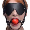 Blindfold Harness and Red Ball Gag