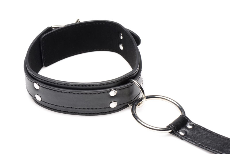 Neck to Wrist Restraints - Image 6