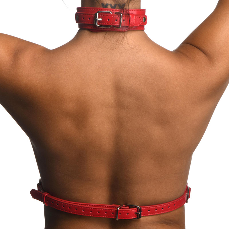 Red Female Chest Harness- Medium/Large - Image 4