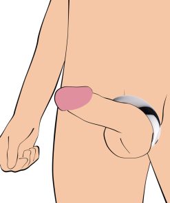 Stainless Steel Cock Ring - 2.25 Inches