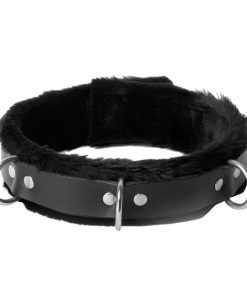 Strict Leather Narrow Fur Lined Locking Collar