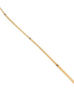 Natural Rattan Cane
