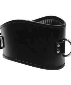 Padded Leather Locking Posture Collar