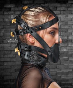 Leather Head Harness with Muzzle